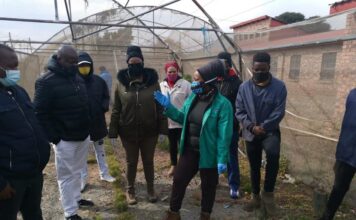 Agriculture Project initiated on Youth Day in Soshanguve