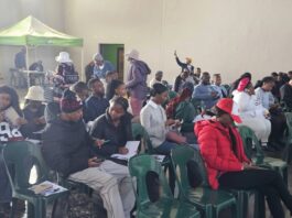 City Targets Youth Unemployment Through Ithuba Outreach in Soshanguve